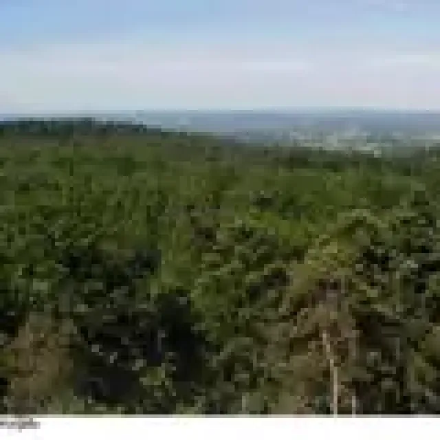 Forêt Domaniale de Perseigne
