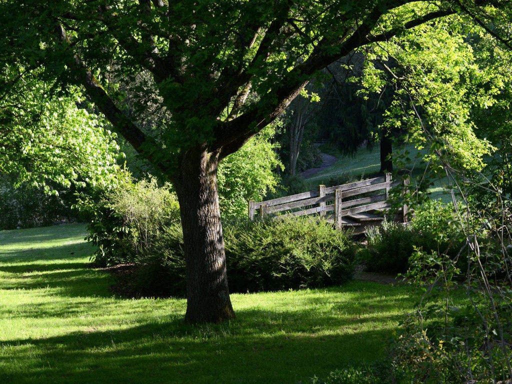 Parc Banjan - Les parcs Le Mans Sarthe