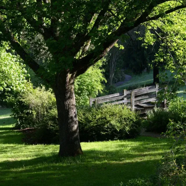 Parc Banjan