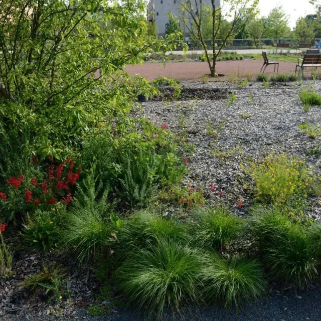 Parc à Fourrage