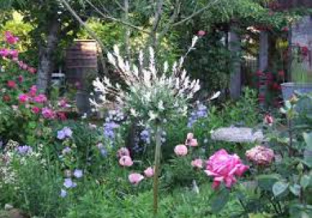 Jardin des Poésies