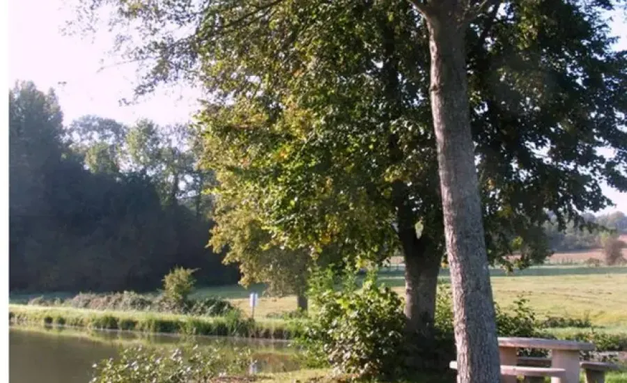 Plan d'Eau Municipal La Chesnaie de Marigné Laille