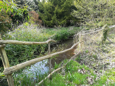 La Chéronne à Saint-Denis-des-Coudrais