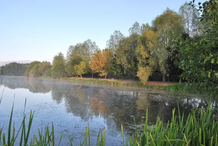Les berges de l’étang du parc de la Rivière