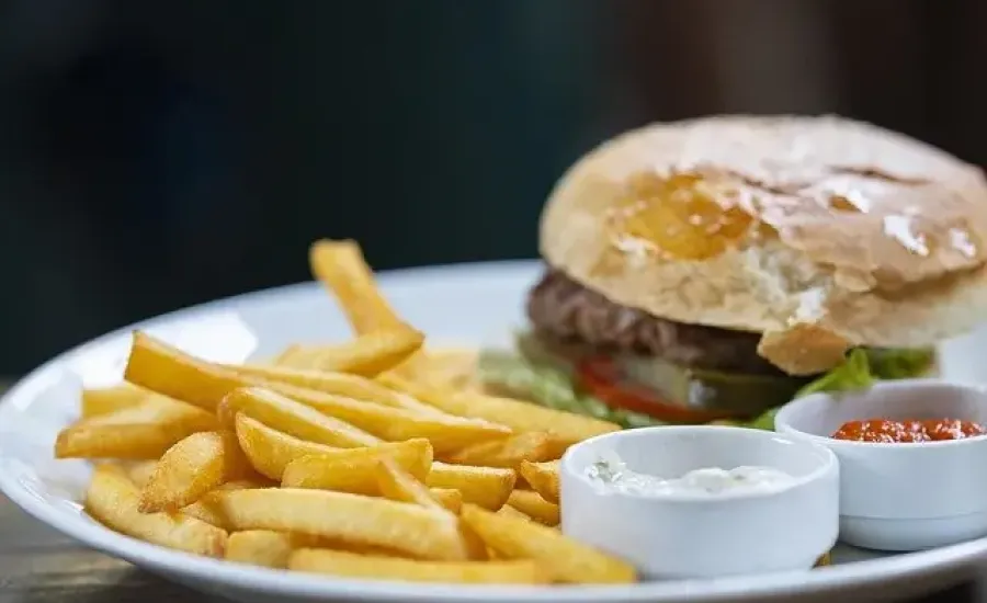 burger-4683373_640 — ©Image par Engin Akyurt de Pixabay