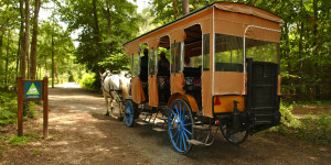 arche-de-la-nature-le-mans.jpg