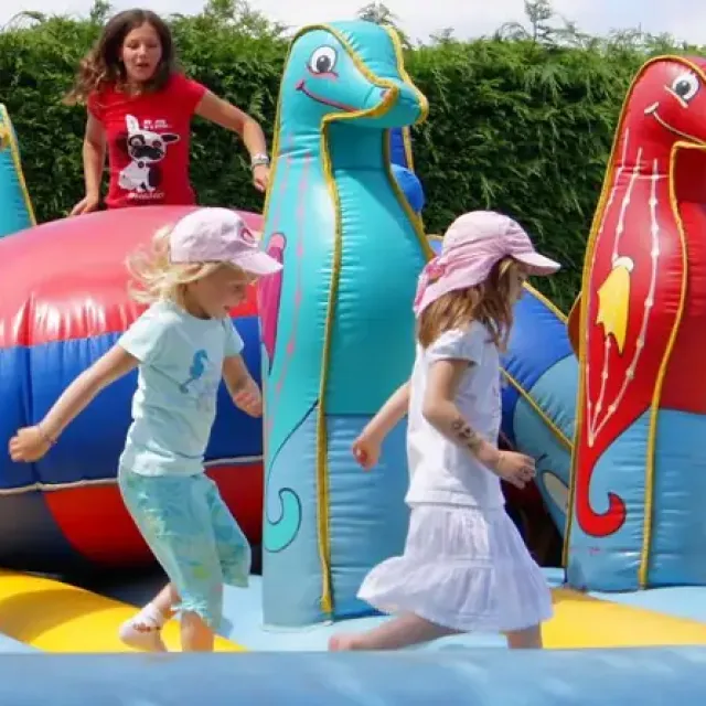 Camping Les Tournesols : Un Séjour Familial et Nature en Sarthe