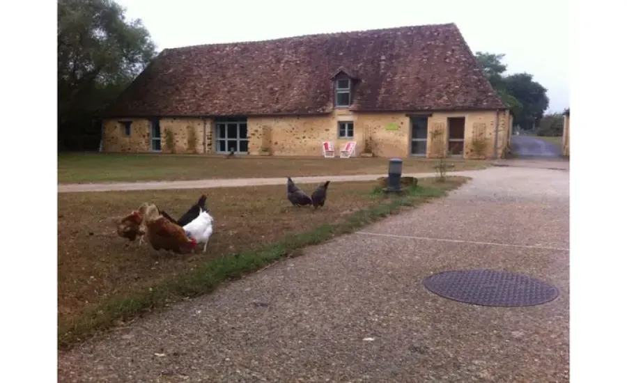 CHAMBRES D'HÔTES DES NONNETTES - DOMAINE DES MÉSANGÈRES