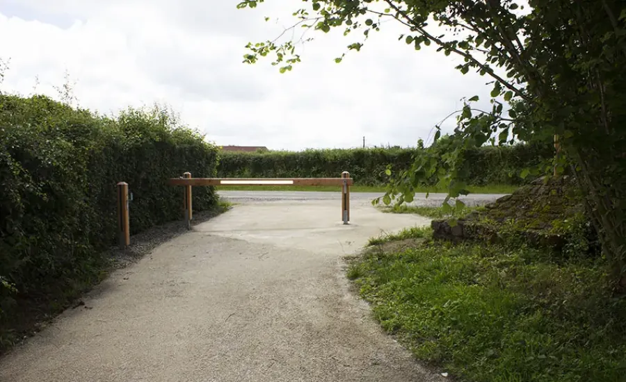 Forêt de Sillé le Guillaume