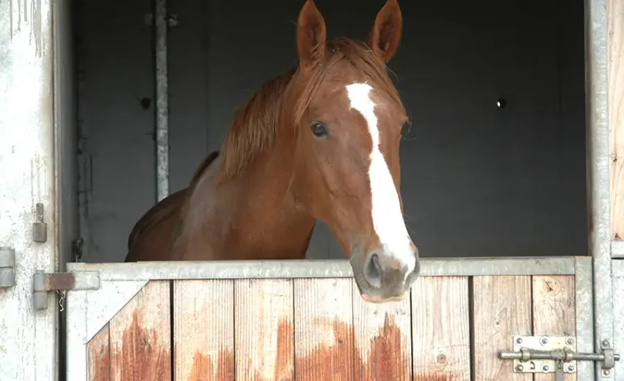 Centre Equestre De Fontay